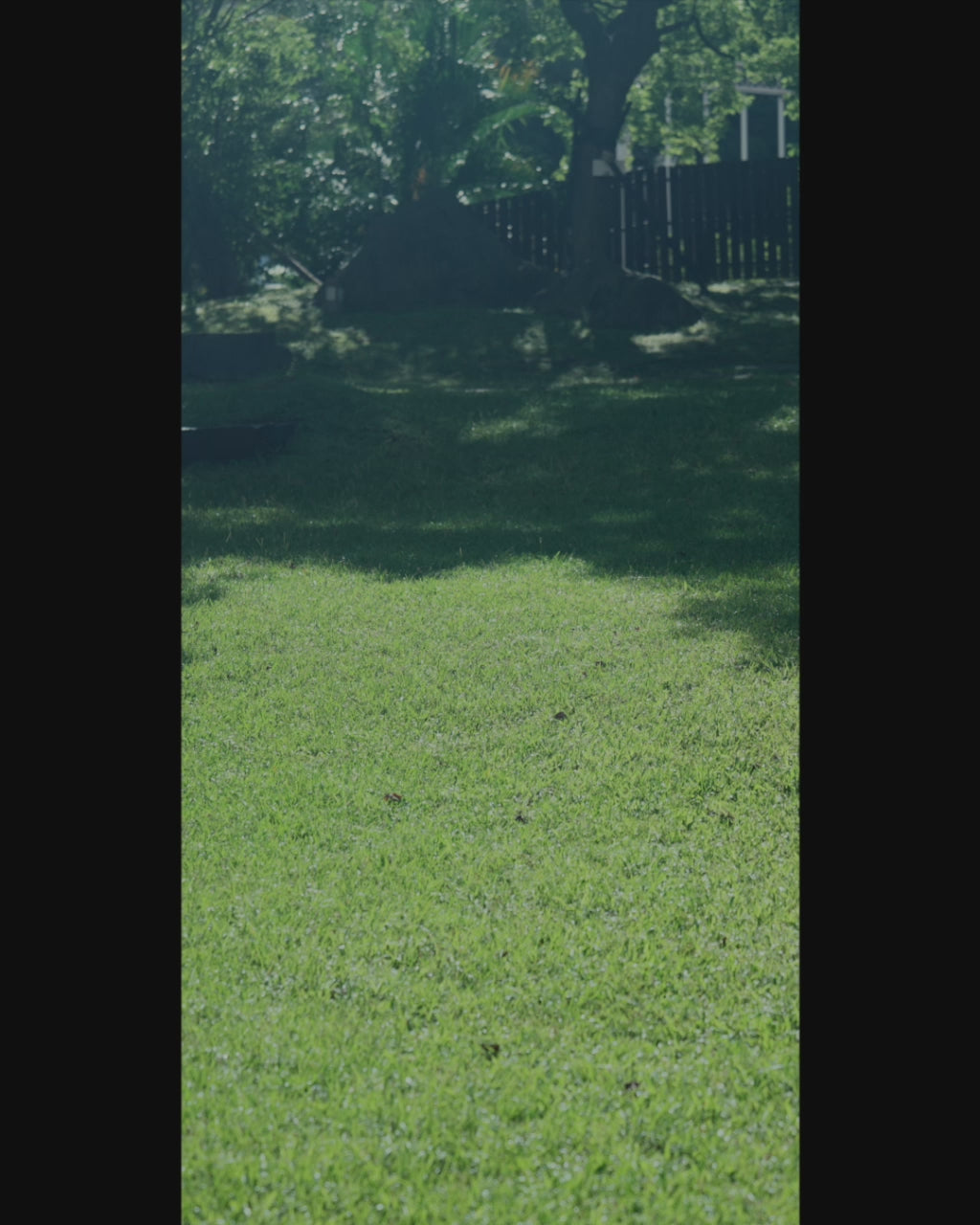 Wool Belted 2Tuck Wide Trousers